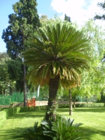  PB120500.JPG 